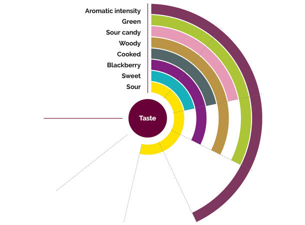 Fruktpure bringebær 100% - 10kg Serbia 