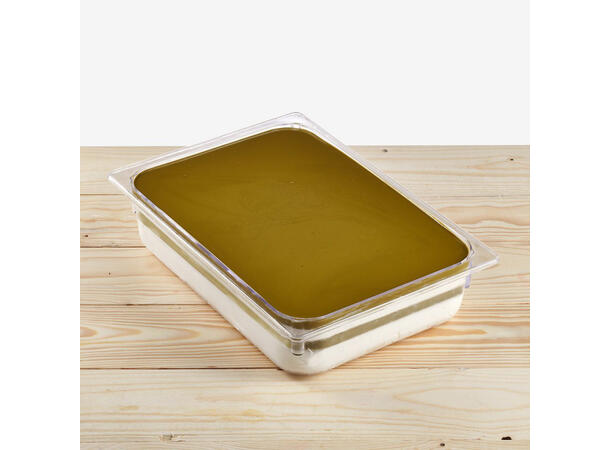 PINOPINGUINO PISTACHIO 