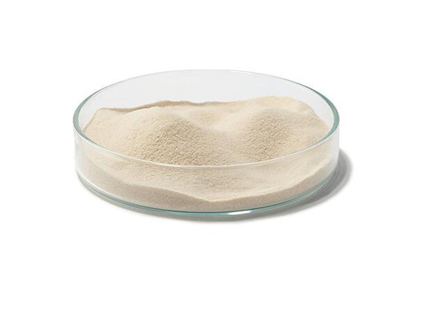 Gelatinpulver 220 Bloom, av storfe 25Kg - Halal sertif. 