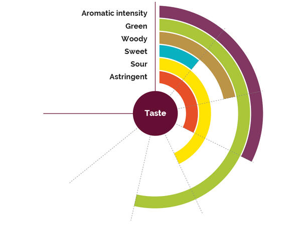 Fruktpure blåbær 100% - 1kg Polen, Serbia, Montenegro, Latvia 
