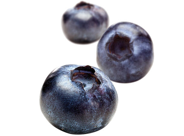 Fruktpure blåbær 100% - 1kg Polen, Serbia, Montenegro, Latvia 