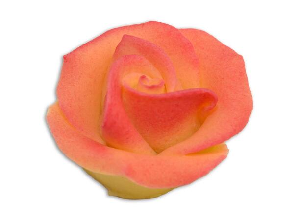 Marsipanrose fersken 