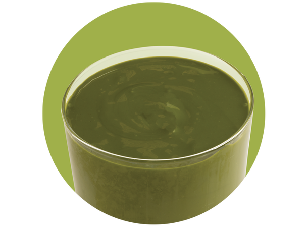 PANNACREMA PISTACHIO 