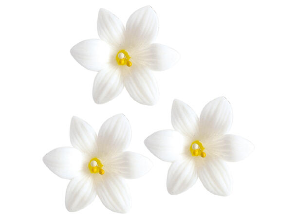 Lilje i tragant 4,8cm - 70stk 