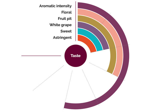 Fruktpure Litchi 100% Madagaskar og Taiwan (Kina) 