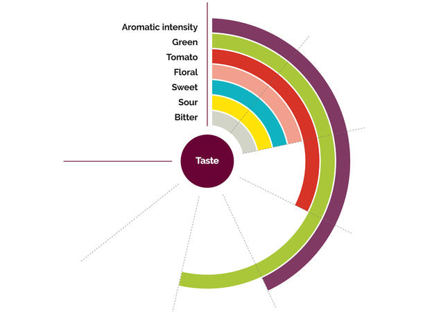 Fruktpure rosa guava 100% - 1kg Brasil, India, Vietnam 