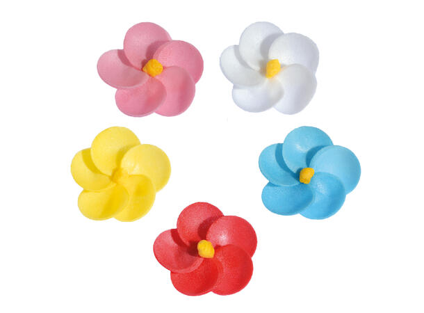 Primula i wafer 3,5cm 200stk assortert 