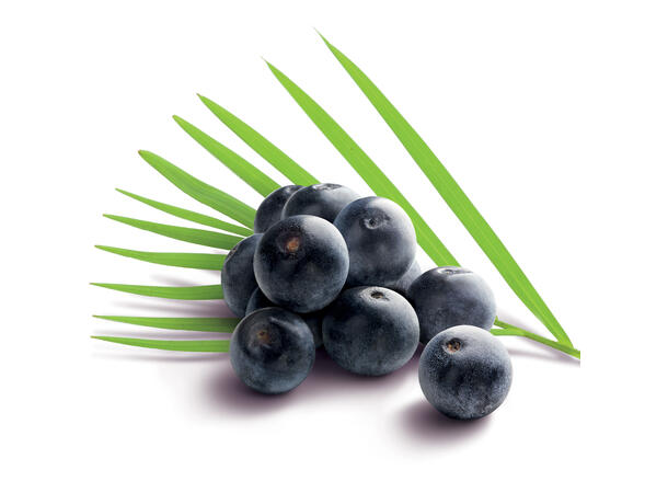Fruktpure acai 100% Brasil 