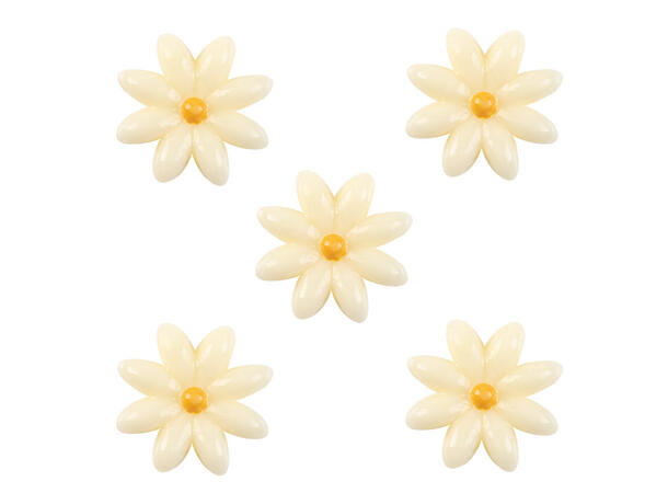 Sjokoblomst hvit Ø2cm - 300stk 