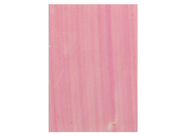 Rosa rektangel hvit sjokolade - 315stk 3,5 x 2,5cm 