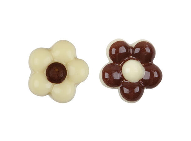 Sjokoblomst hvit 1,5cm - 384stk 