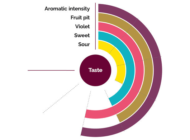 Fruktpure moreller 100% - 1kg Tyskland og Bulgaria 