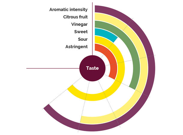 Fruktpure pasjonsfrukt 100% - 6 x 1kg Ecuador og Peru 