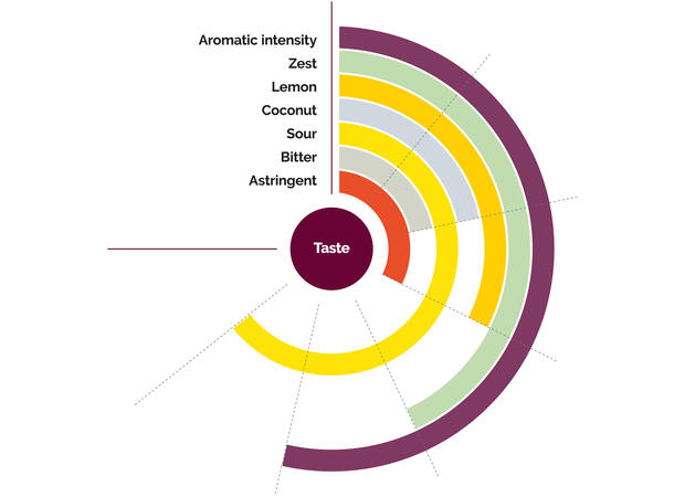 Fruktpure lime 100% - 6 x 1kg Brasil og Mexico 