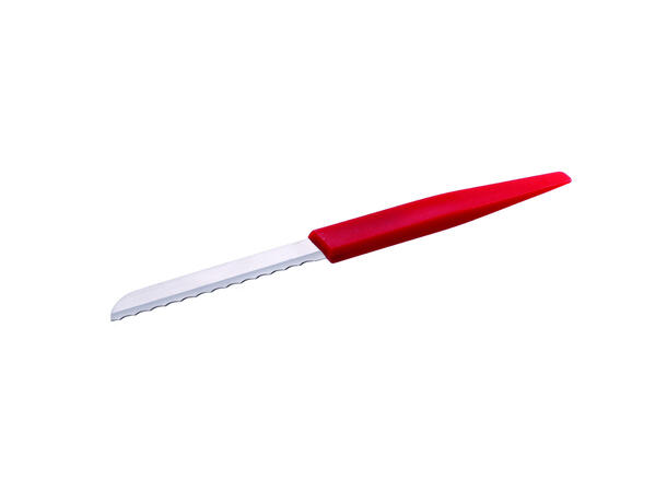 Snittekniv med tagger 9cm Rustfritt stål 