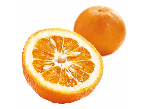 Fruktkonsentrat appelsin 