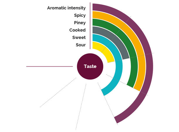 Fruktpure mango 100% - 6 x 1kg India 