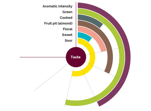 Fruktpure aprikos (Bergeron) 100% Frankrike 