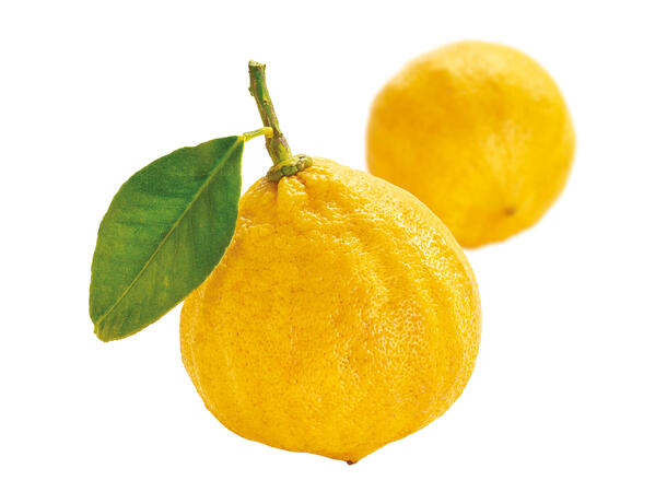 Fruktpure bergamot 100% Italia 
