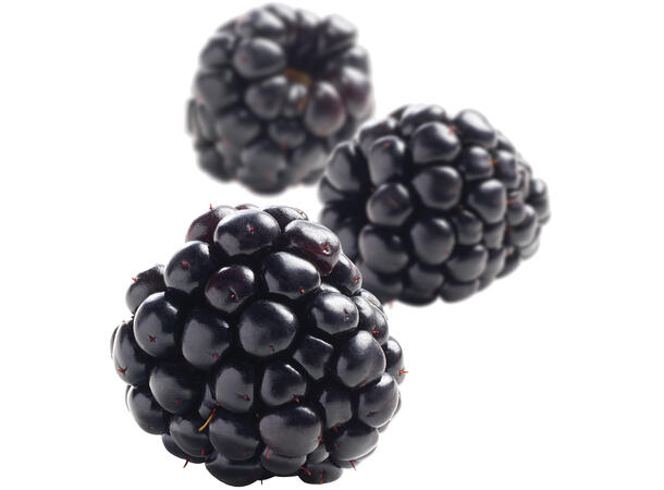 Fruktpure bjørnebær 100% Chile, Frankrike, Serbia og Albania 