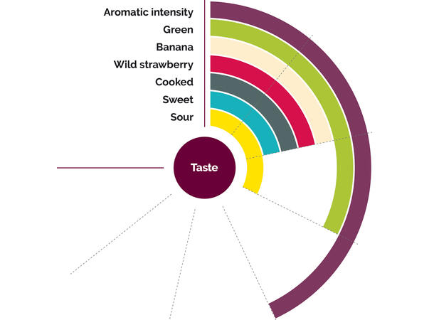 Fruktpure jordbær 100% Serbia, Bulgaria, Polen og Spania. 