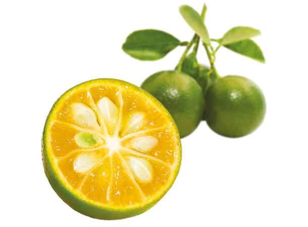 Fruktpure calamansi 100% Vietnam 