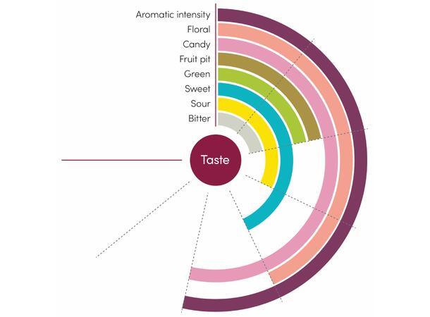Fruktpure lilla plomme 100% Serbia 