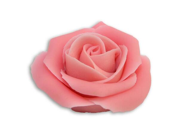 Marsipanrose rosa 
