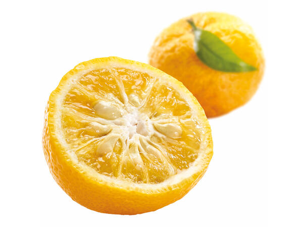 Fruktpure yuzu 100% Japan 
