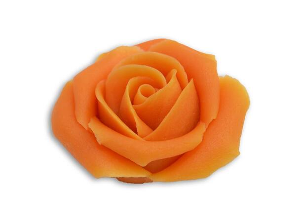 Marsipanrose orange 