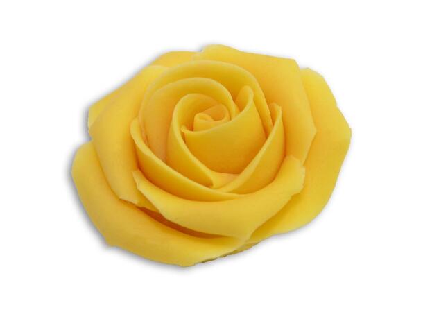 Marsipanrose gul 