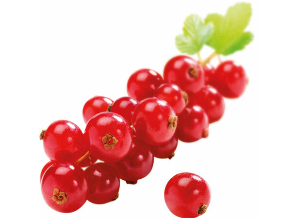 Fruktpure rips 100% Frankrike og Polen 