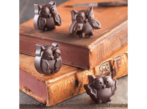 Konfektform silikon - SCG26 Choco Owl 34 x 30 H15mm - 7ml x 15 