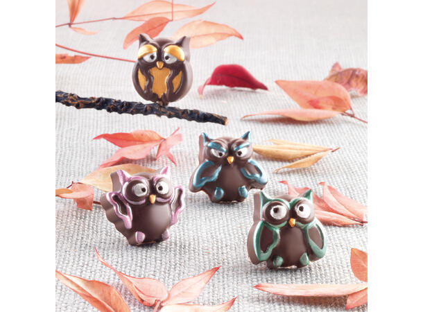 Konfektform silikon - SCG26 Choco Owl 34 x 30 H15mm - 7ml x 15